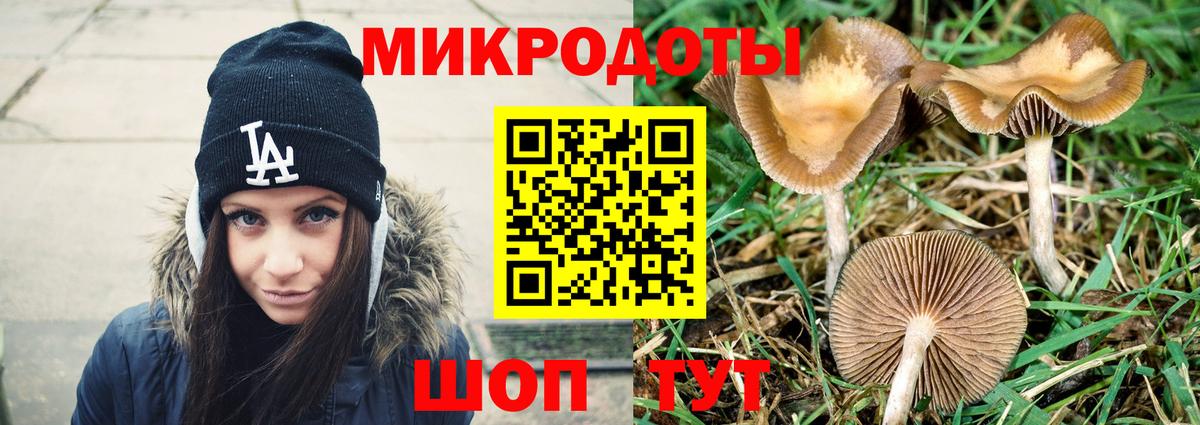 Донской  Галлюциногенные грибы GOLDEN TEACHER  Вход с VPN  Псилоцибиновые грибы Psilocybine cubensis 